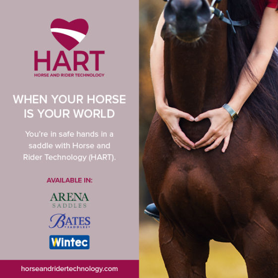 Sunrise Arts Saddlery