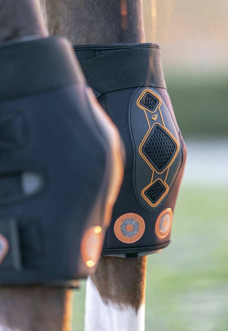 Sunrise Arts Saddlery